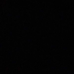 Meet your Posher, Shequetta